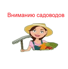 Растения-убийцы. Инвазивные виды: что это, как и зачем с ними бороться.